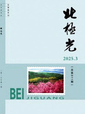 北极光杂志